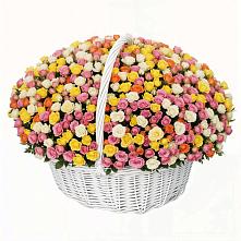 Премиум букет из: Розы в Выгоничи