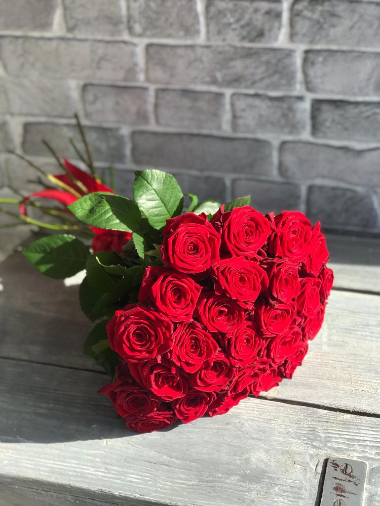 Букет Красные розы Фридом в Выгоничи