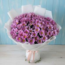 Букет цветов из:  Хризантемы в Выгоничи