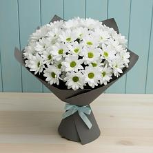 Букет цветов из:  Хризантемы в Выгоничи