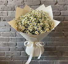 Букет цветов из:  Ромашки #REPLACE_PRED# Выгоничи