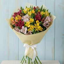 Букет цветов из:  Альстромерии в Выгоничи