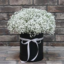 Цветочная композиция из Гипсофила в шляпной коробке в Выгоничи